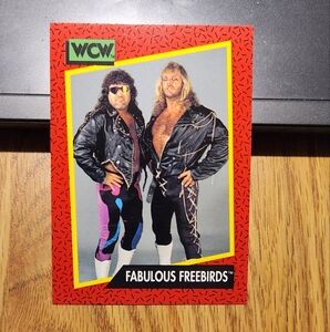 1991 wcw wrestling card of the the fabulous freebirds